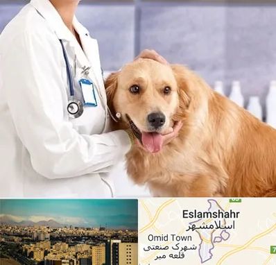 کلینیک دامپزشکی شبانه روزی در اسلامشهر