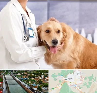 کلینیک دامپزشکی شبانه روزی در مراغه