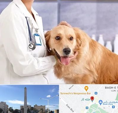 کلینیک دامپزشکی شبانه روزی در فلکه گاز شیراز