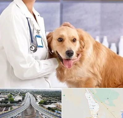 کلینیک دامپزشکی شبانه روزی در اندیمشک