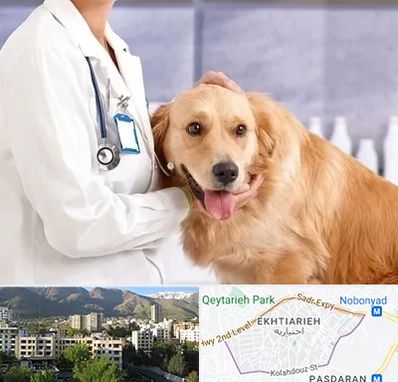 کلینیک دامپزشکی شبانه روزی در اختیاریه