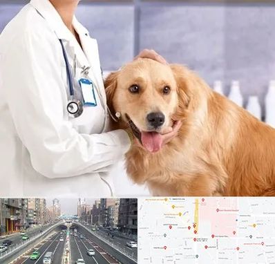 کلینیک دامپزشکی شبانه روزی در توحید