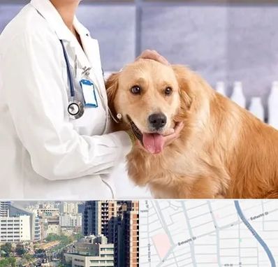 کلینیک دامپزشکی شبانه روزی در خیابان بهشتی