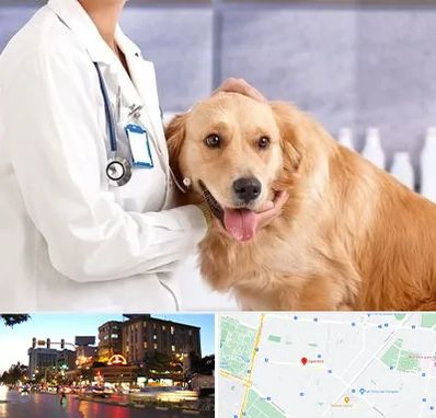 کلینیک دامپزشکی شبانه روزی در بلوار سجاد مشهد