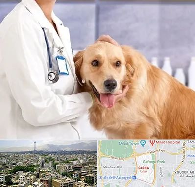 کلینیک دامپزشکی شبانه روزی در گیشا