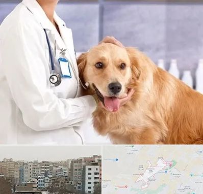 کلینیک دامپزشکی شبانه روزی در محمد شهر کرج