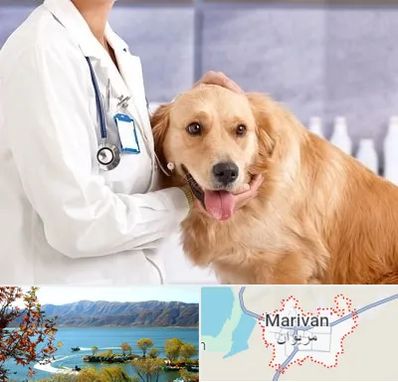 کلینیک دامپزشکی شبانه روزی در مریوان