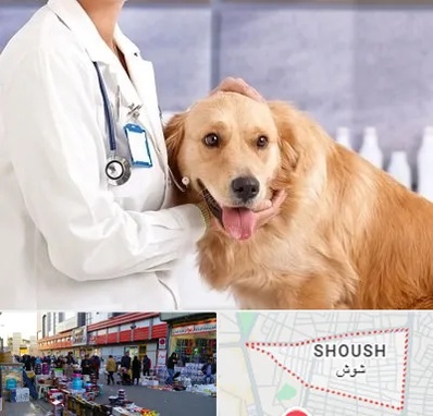 کلینیک دامپزشکی شبانه روزی در شوش