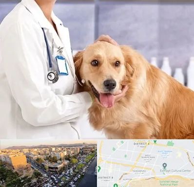 کلینیک دامپزشکی شبانه روزی در تهرانپارس