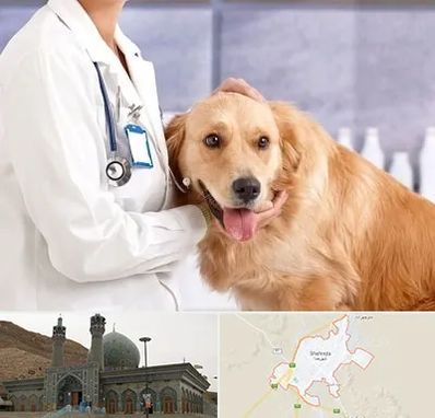 کلینیک دامپزشکی شبانه روزی در شهرضا