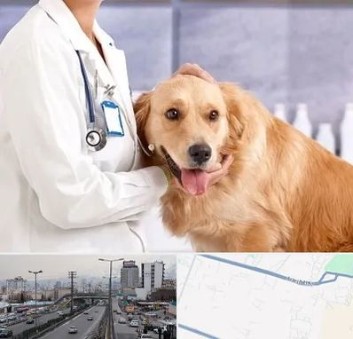 کلینیک دامپزشکی شبانه روزی در بلوار ارتش