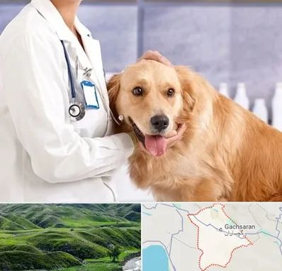 کلینیک دامپزشکی شبانه روزی در گچساران