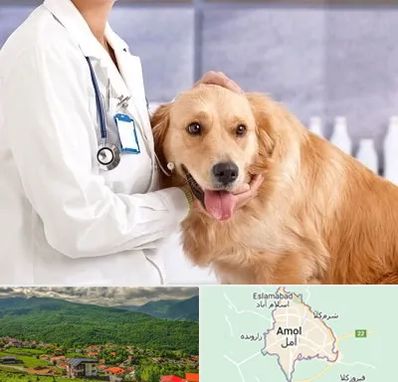 کلینیک دامپزشکی شبانه روزی در آمل