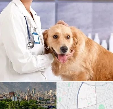 کلینیک دامپزشکی شبانه روزی در جمشیدیه