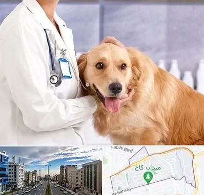 کلینیک دامپزشکی شبانه روزی در سعادت آباد