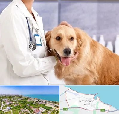 کلینیک دامپزشکی شبانه روزی در نوشهر