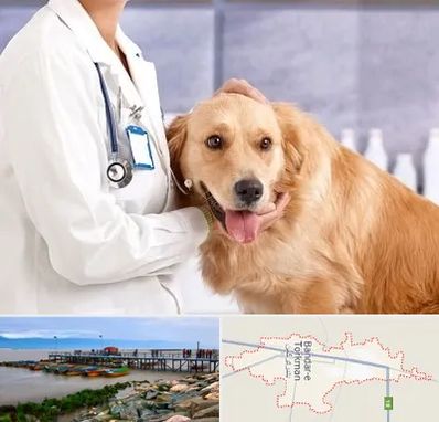 کلینیک دامپزشکی شبانه روزی در بندر ترکمن
