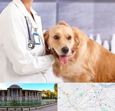 کلینیک دامپزشکی شبانه روزی در عفیف آباد شیراز