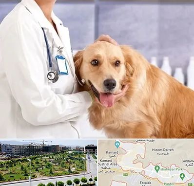 کلینیک دامپزشکی شبانه روزی در پردیس