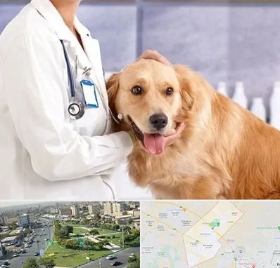 کلینیک دامپزشکی شبانه روزی در کمال شهر کرج