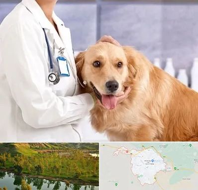 کلینیک دامپزشکی شبانه روزی در بهبهان