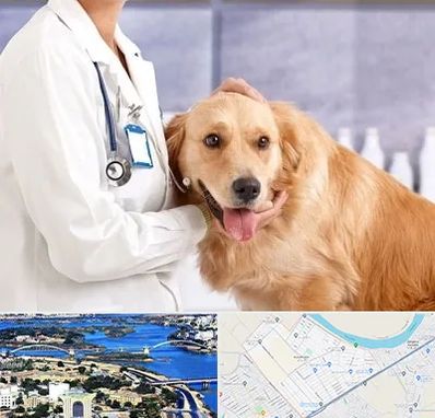 کلینیک دامپزشکی شبانه روزی در کوروش اهواز