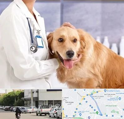 کلینیک دامپزشکی شبانه روزی در قدوسی شرقی شیراز