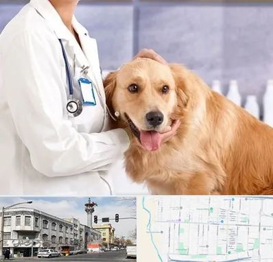 کلینیک دامپزشکی شبانه روزی در 17شهریور