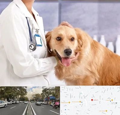 کلینیک دامپزشکی شبانه روزی در دولت