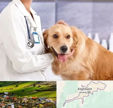 کلینیک دامپزشکی شبانه روزی در کلاردشت