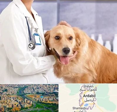 کلینیک دامپزشکی شبانه روزی در اردبیل