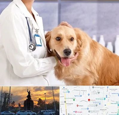 کلینیک دامپزشکی شبانه روزی در میدان حر