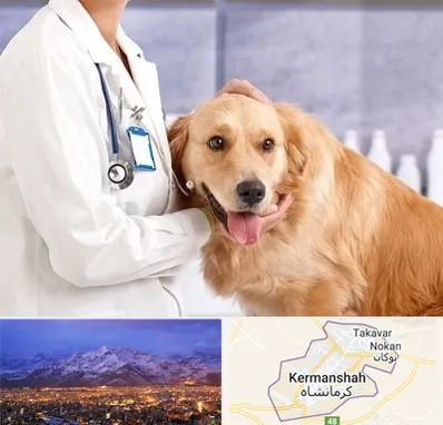 کلینیک دامپزشکی شبانه روزی در کرمانشاه