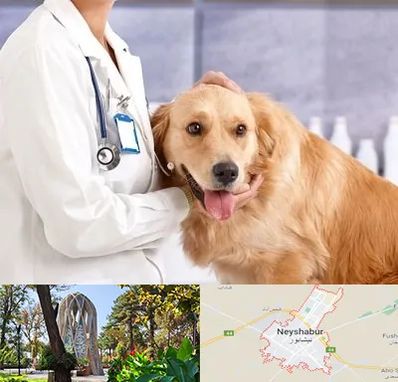 کلینیک دامپزشکی شبانه روزی در نیشابور