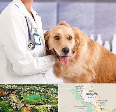 کلینیک دامپزشکی شبانه روزی در بروجرد