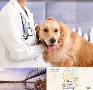 کلینیک دامپزشکی شبانه روزی در اهواز