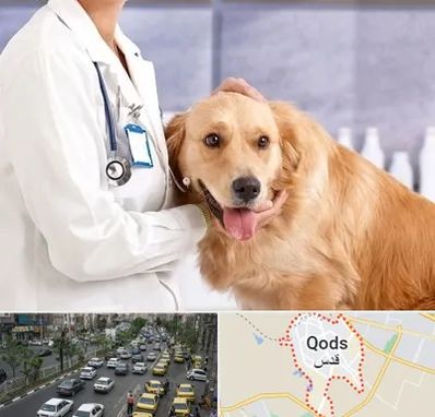 کلینیک دامپزشکی شبانه روزی در شهر قدس
