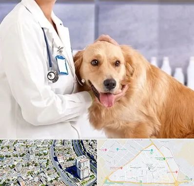 کلینیک دامپزشکی شبانه روزی در قاسم آباد مشهد