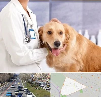 کلینیک دامپزشکی شبانه روزی در احمدآباد مشهد