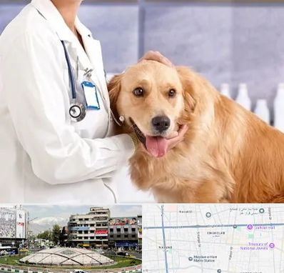 کلینیک دامپزشکی شبانه روزی در مرکز تهران