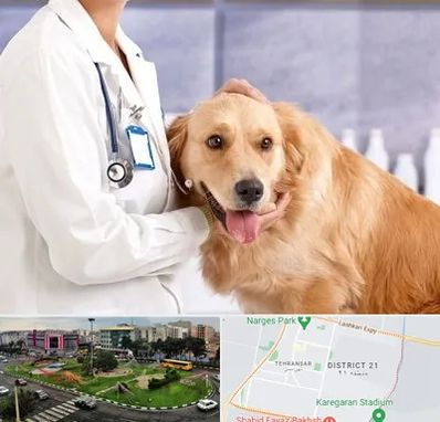 کلینیک دامپزشکی شبانه روزی در تهرانسر