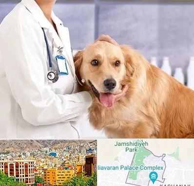 کلینیک دامپزشکی شبانه روزی در نیاوران