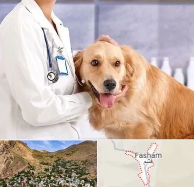 کلینیک دامپزشکی شبانه روزی در فشم