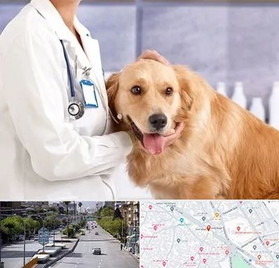 کلینیک دامپزشکی شبانه روزی در خیابان زند شیراز