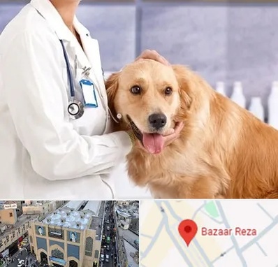 کلینیک دامپزشکی شبانه روزی در بازار رضا مشهد