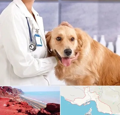کلینیک دامپزشکی شبانه روزی در هرمزگان