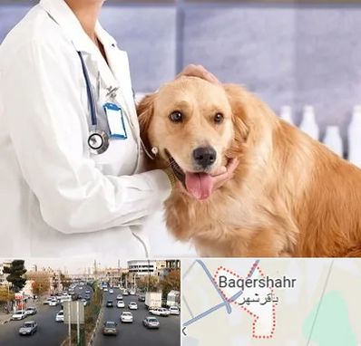 کلینیک دامپزشکی شبانه روزی در باقرشهر