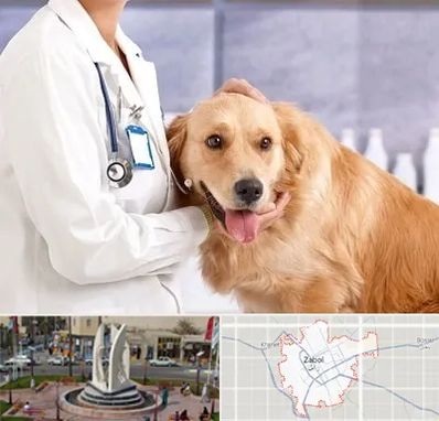 کلینیک دامپزشکی شبانه روزی در زابل