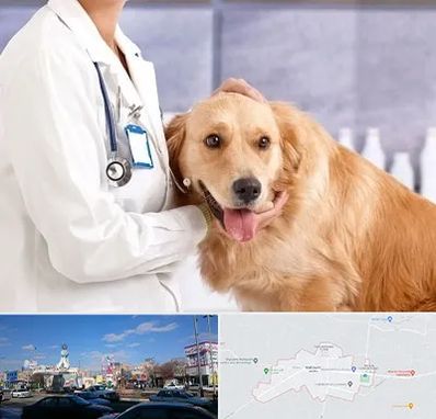 کلینیک دامپزشکی شبانه روزی در ماهدشت کرج