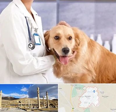 کلینیک دامپزشکی شبانه روزی در مرودشت